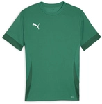 PUMA teamGOAL Matchday Trikot Herren 05 - sport green/puma white/power green S