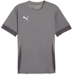 PUMA teamGOAL Matchday Trikot Herren 13 - cast iron/puma white/shadow gray L