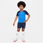 NIKE Academy Pro Dri-FIT Set (Trikot+Shorts) Kinder 463 - royal...