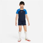 NIKE Academy Pro Dri-FIT Set (Trikot+Shorts) Kinder 451 - obsidian/royal...
