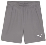 PUMA teamGOAL Shorts Herren 13 - cast iron/puma white S