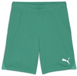 PUMA teamGOAL Shorts Herren 05 - sport green/puma white S