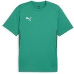 PUMA teamGOAL Trikot Herren 05 - sport green/puma white/power green 3XL