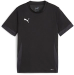 PUMA teamGOAL Matchday Trikot Kinder 03 - PUMA black/PUMA white/flat dark gray 116