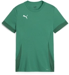 PUMA teamGOAL Matchday Trikot Kinder 05 - sport green/puma white/power green 116
