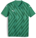 PUMA teamGLORY Trikot Kinder 05 - sport green/puma white/power green 116