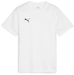 PUMA teamGOAL Trikot Jungen 04 - PUMA white/PUMA black/feather gray 116