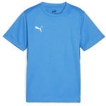 PUMA teamGOAL Trikot Jungen 02 - electric blue lemonade/puma white/puma team royal
