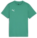 PUMA teamGOAL Trikot Jungen 05 - sport green/puma white/power green 116