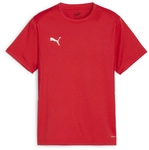 PUMA teamGOAL Trikot Jungen 01 - PUMA red/PUMA white/fast red 116