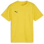 PUMA teamGOAL Trikot Jungen 07 - faster yellow/puma black/sport yellow 116