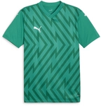 PUMA teamGLORY Trikot Herren 05 - sport green/puma white/power green S
