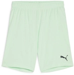 PUMA teamGOAL Shorts Kinder 60 - fresh mint/puma black 164