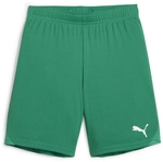 PUMA teamGOAL Shorts Kinder 05 - sport green/puma white 140