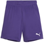 PUMA teamGOAL Shorts Kinder 10 - team violet/puma white 152