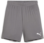PUMA teamGOAL Shorts Kinder 13 - cast iron/puma white 128