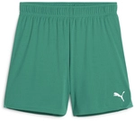 PUMA teamGOAL Shorts Damen 05 - sport green/puma white XS