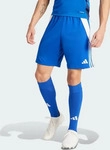adidas performance IR9378, adidas performance adidas Tiro 24 Trainingsshorts Herren