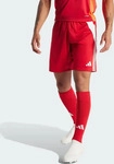 adidas performance IR9379, adidas performance adidas Tiro 24 Trainingsshorts Herren