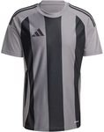 adidas Striped 24 Fu&szlig;balltrikot Herren IW2145 - team grey four/black M