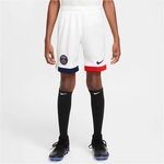 NIKE PSG Paris Saint-Germain Dri-FIT Stadium Ausw&auml;rtsshorts Kinder 100 -