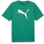 PUMA teamRISE Logo Baumwolltrikot Herren 05 - sport green/puma white S