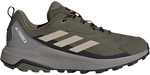 adidas TERREX Anylander Wanderschuhe Herren AETE - olistr/wonbei/cblack 40 2/3