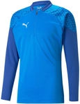 PUMA teamCUP Training 1/4-Zip Top Herren 02 - electric blue lemonade S