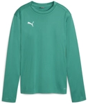 PUMA teamGOAL Trainings-Sweatshirt Damen 05 - sport green/power green/puma white XS