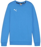 PUMA teamGOAL Casuals Crew Neck Sweatshirt Jungen 02 - ignite blue/puma white...