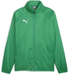 PUMA teamGOAL Allwetterjacke Herren 05 - sport green/puma white S