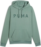PUMA Cloudspun Branded Hoodie Herren 30 - green moon XL