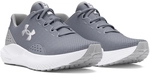 UNDER ARMOUR Surge 4 Laufschuhe Herren 101 - steel/mod gray/white 43