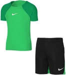 NIKE Academy Pro Dri-FIT Set (Trikot+Shorts) Kinder 329 - green spark/lucky