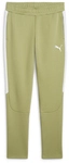 PUMA teamEvostripe Trainingshose Herren 40 - calming green/puma silver/puma...