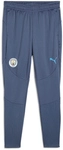 PUMA Manchester City FC Trainingshose Herren 12 - inky blue/magic blue M