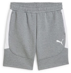 PUMA teamEvostripe Shorts Herren 33 - medium gray heather/puma silver/puma...
