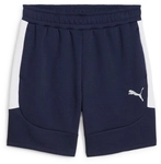 PUMA teamEvostripe Shorts Herren 06 - PUMA navy/PUMA silver/PUMA white S