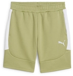 PUMA teamEvostripe Shorts Herren 40 - calming green/puma silver/puma white S
