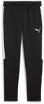 PUMA teamEvostripe Trainingshose Herren 03 - PUMA black-PUMA silver-PUMA white S