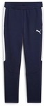 PUMA teamEvostripe Trainingshose Herren 06 - PUMA navy/PUMA silver/PUMA white S