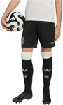 adidas DFB Deutschland 125 Jahre Jubil&auml;um Fu&szlig;ballshorts Kinder JY0253 - black/cloud
