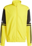 adidas Squadra 25 Pr&auml;sentationsjacke Herren JP3385 - team yellow/black/white M