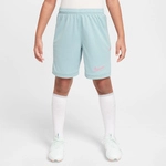 NIKE Academy 25 Dri-FIT Shorts Kinder 395 - ocean cube/ocean cube/hyper pink M