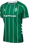 hummel SV Werder Bremen Heimtrikot 2025/26 Kinder 6801 - abundant green 116