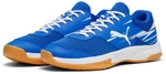 PUMA Varion II Hallenschuhe 03 - PUMA team royal/PUMA white/gum 37.5