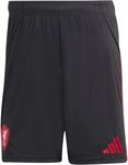 adidas FC Liverpool Ausw&auml;rtsshorts 2025/26 Herren JY4233 - black XL
