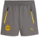 PUMA BVB Borussia Dortmund Pumatech Relaxed Woven Shorts Herren 21 - cool dark