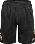 Jako DD4425HK-800, JAKO Dynamo Dresden Heimshorts Kinder 800 - schwarz 116 kids