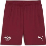 Puma 776470-02, PUMA RB Leipzig Shorts 2024/25 Herren 02 - dark jasper/active...